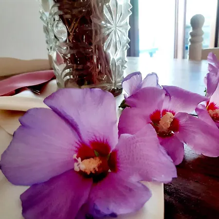 Le Terrazze Sul Pollino Bed and breakfast 3*