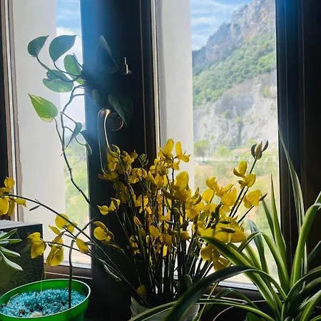 Oda ve Kahvaltı Le Terrazze Sul Pollino Civita